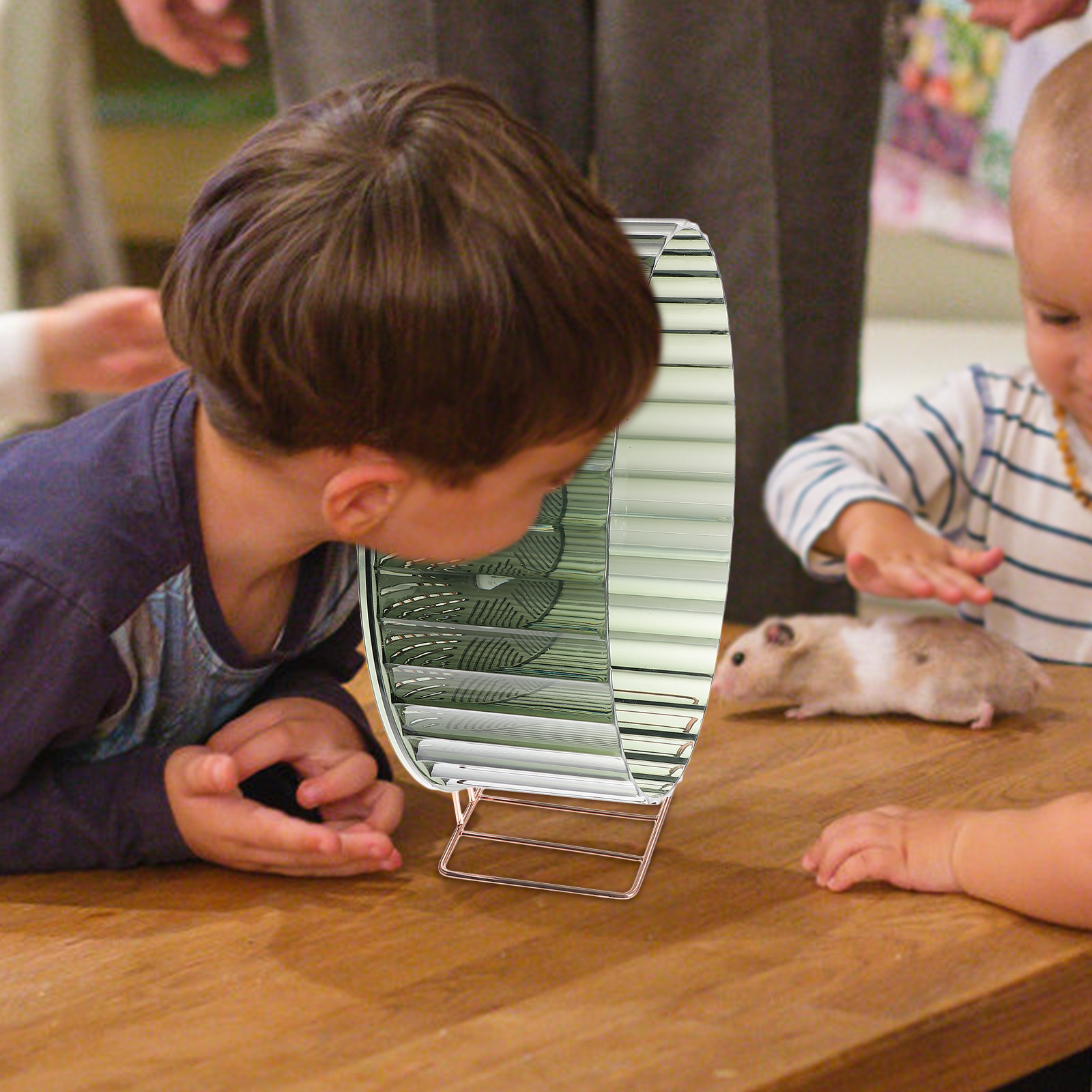 Hamster Cage Wheel - Healthy Growth Hamster Wheel Exercising Wheel