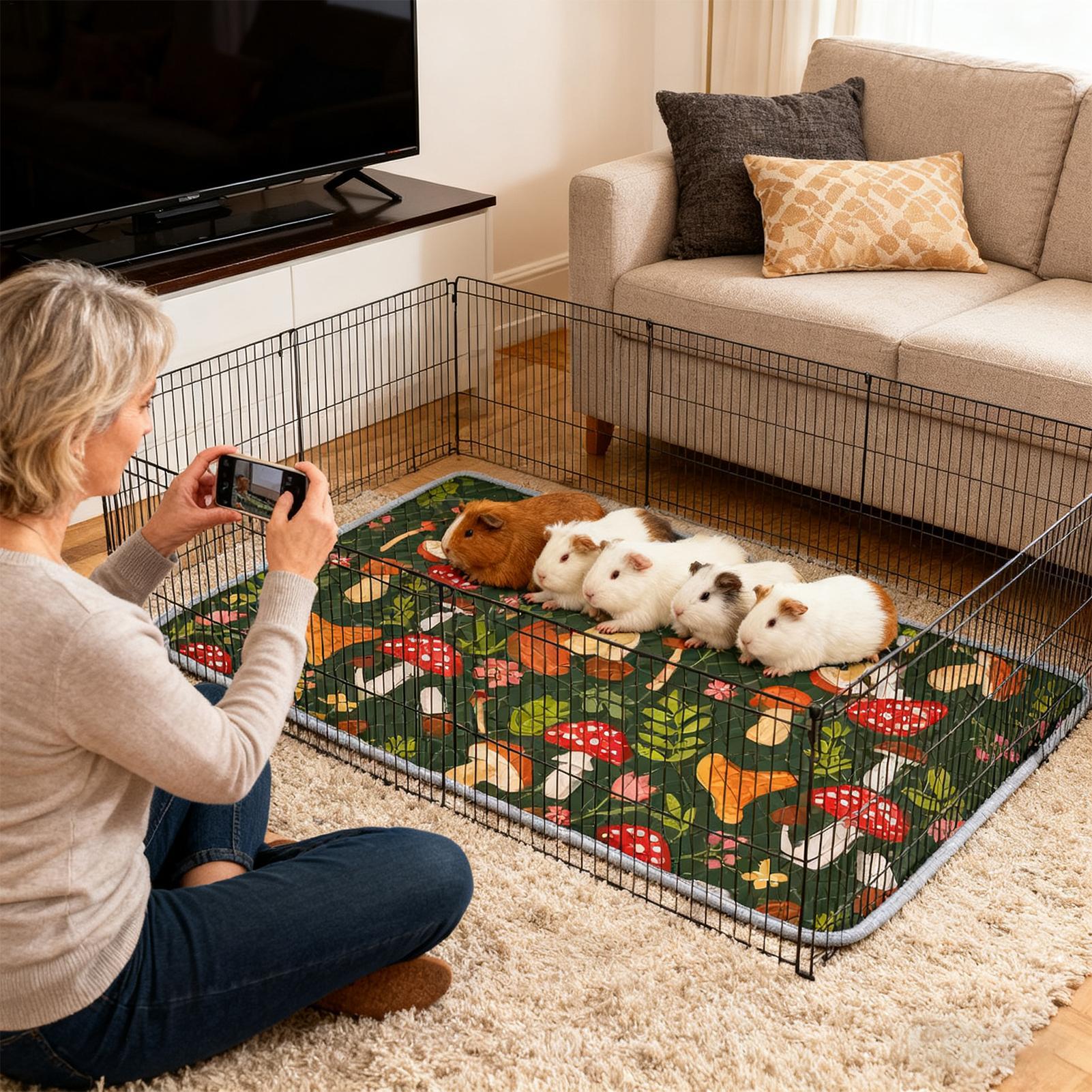 Chinchilla Cage Liner Absorben - Hedgehog Bedding Liner 评论和价格