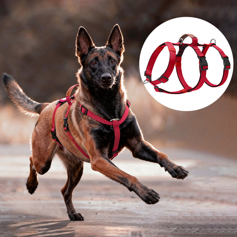 Escape-Proof Nylon Dog Harness - No Pull Dog Harness 评论和价格