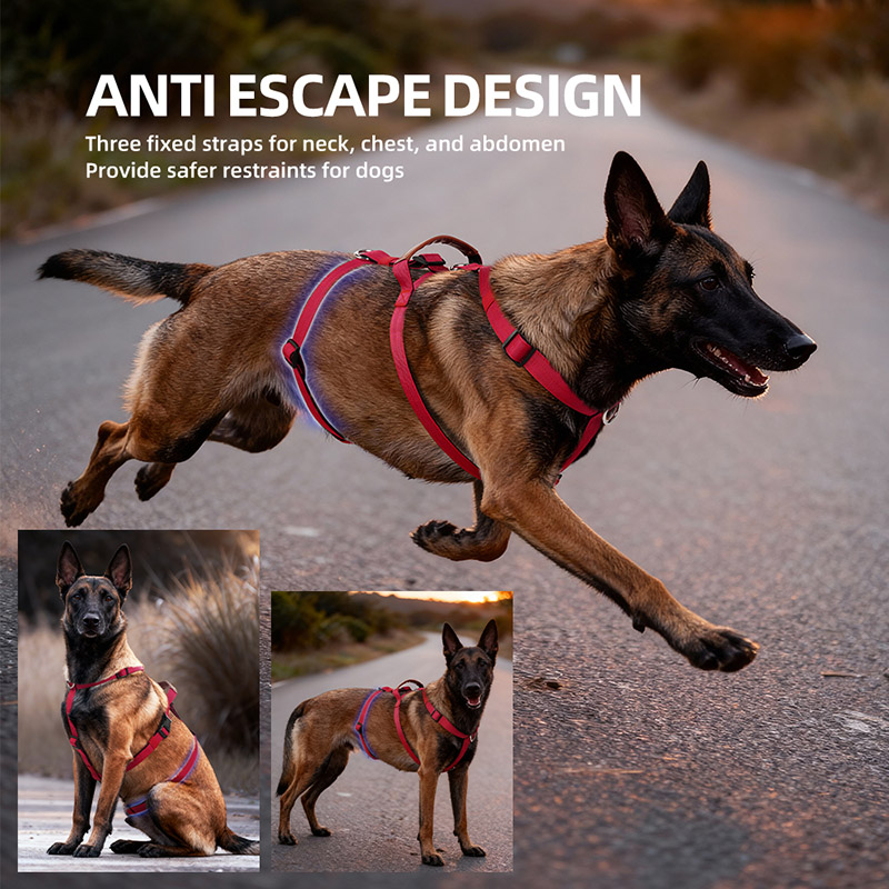 Escape-Proof Nylon Dog Harness - No Pull Dog Harness 评论和价格