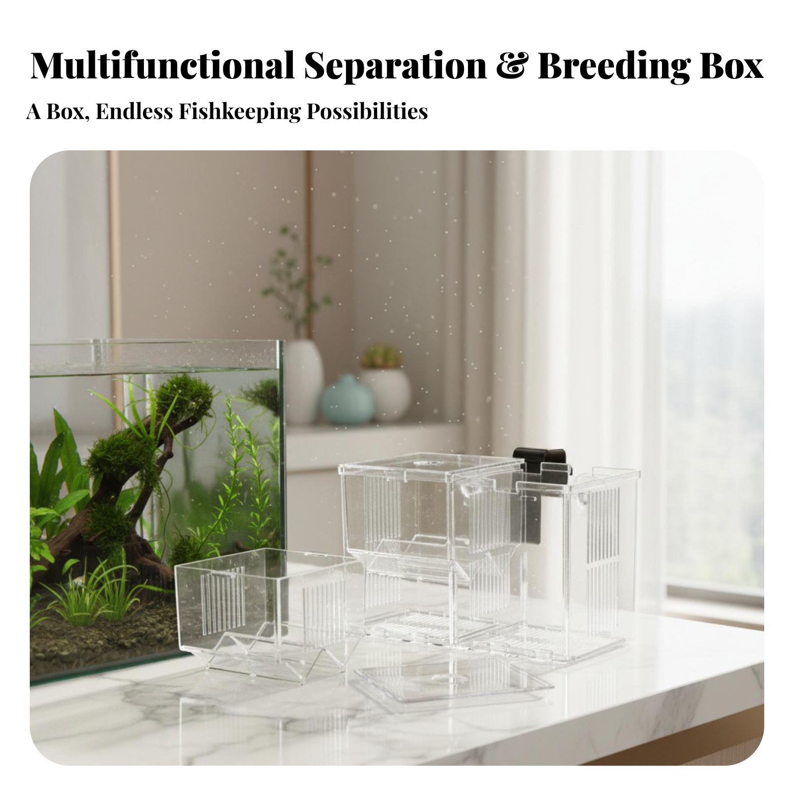 Aquatic Habitat Hatchery Box P - Aquarium Fish Tank 评论和价格
