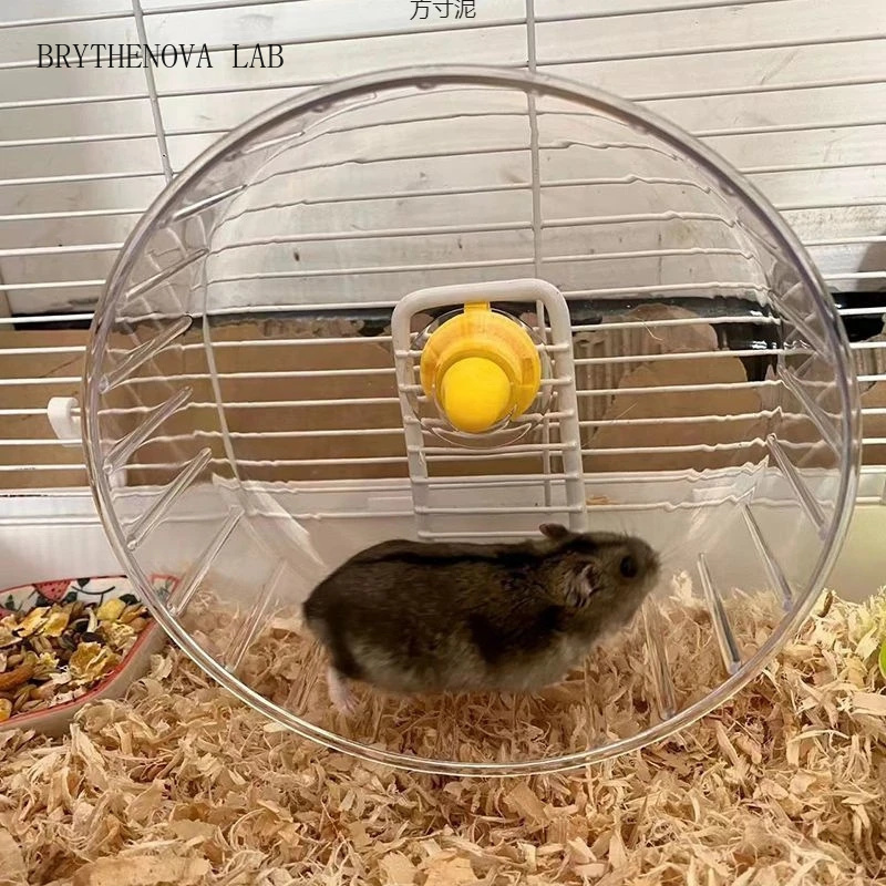 Hamster Running Wheel with Sta - Hamster Cage Wheel 评论和价格