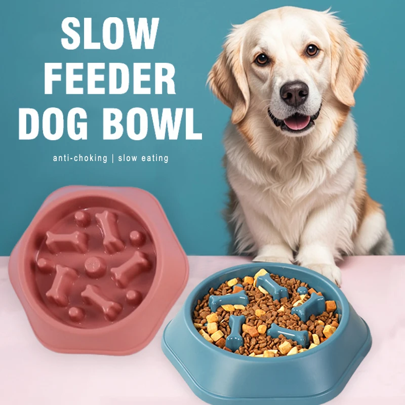 New Slow Feeder Dog Bowl Anti- - Royal Canin Food Medium 评论和价格