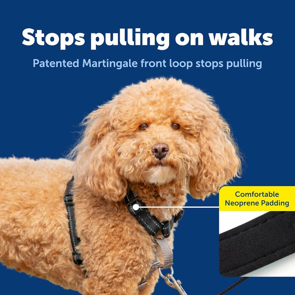 3 in 1 No-Pull Dog Harness - W - No Pull Dog Harness 评论和价格