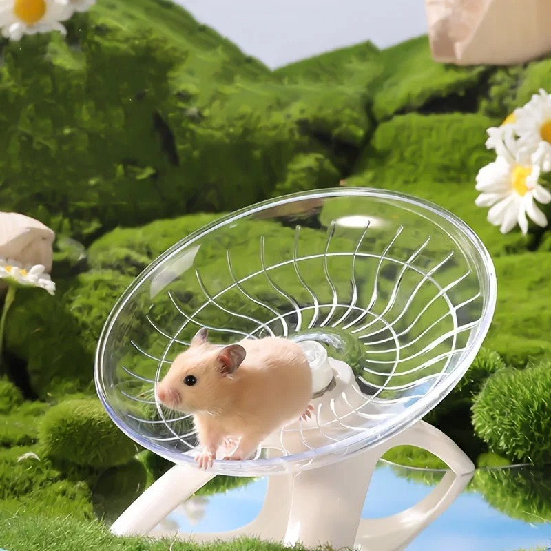 Small Pet Silent Running Pract - Hamster Cage Wheel 评论和价格