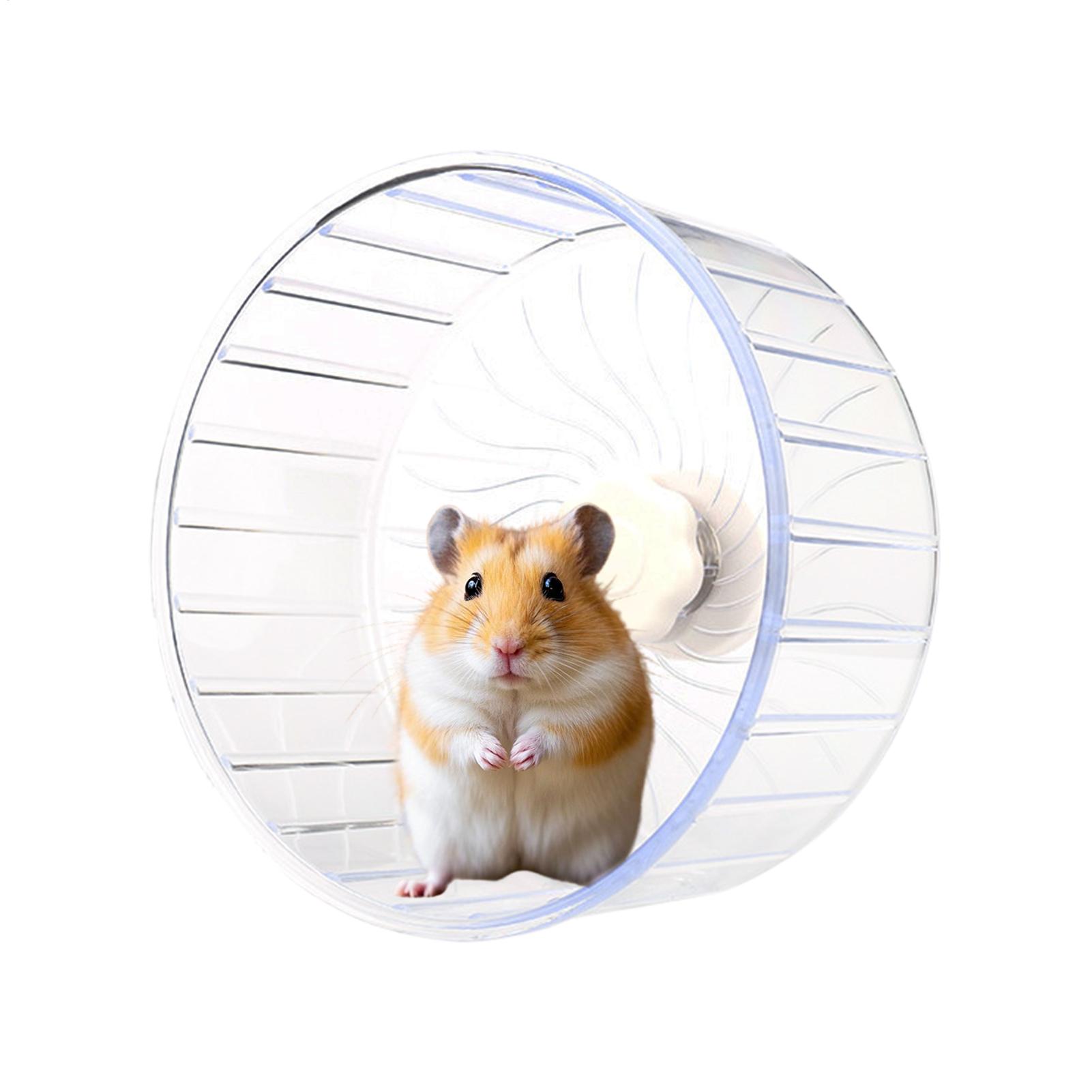 Hamster Running Sport Transpar - Hamster Cage Wheel 评论和价格