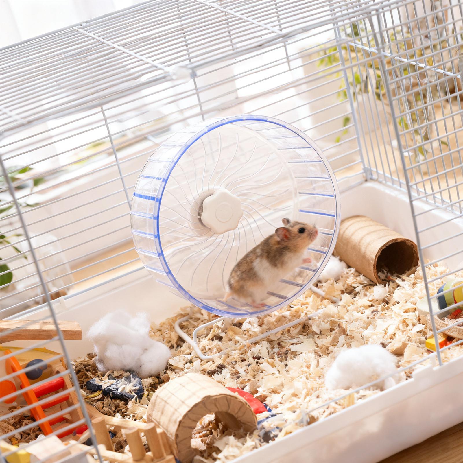 Hamster Running Sport Transpar - Hamster Cage Wheel 评论和价格