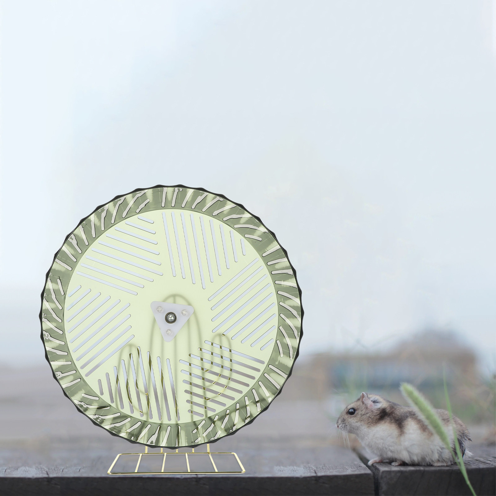 Healthy Growth Hamster Wheel E - Hamster Cage Wheel 评论和价格