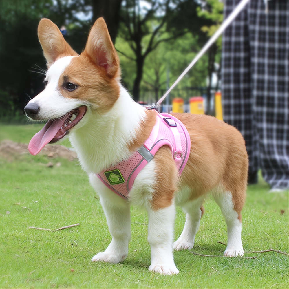 Reflective Pet Harness And Lea - No Pull Dog Harness 评论和价格