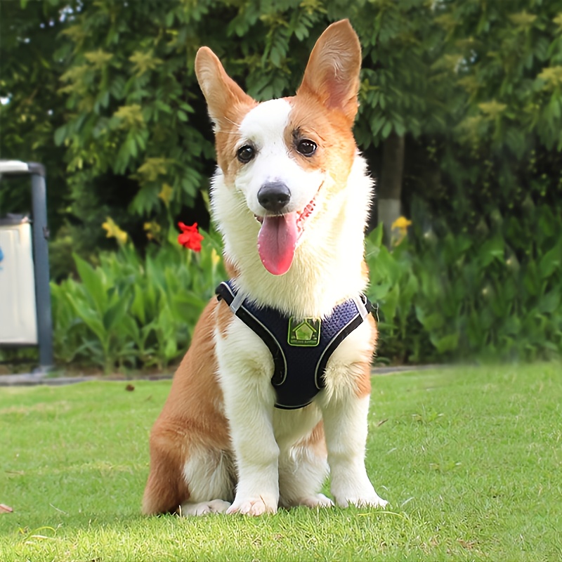 Reflective Pet Harness And Lea - No Pull Dog Harness 评论和价格