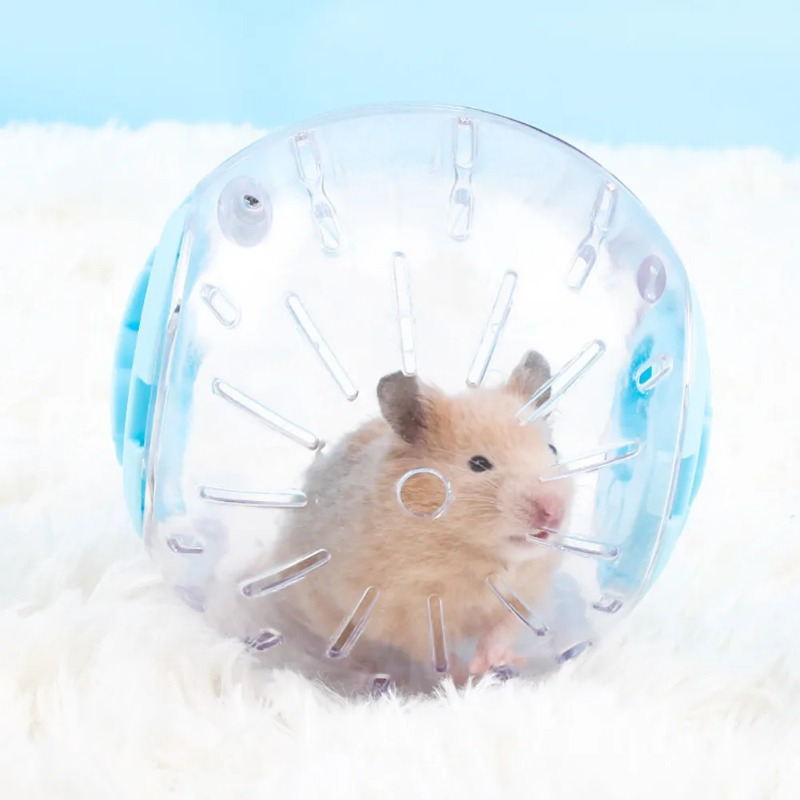 Plastic Outdoor Sport Ball Gro - Hamster Cage Wheel 评论和价格