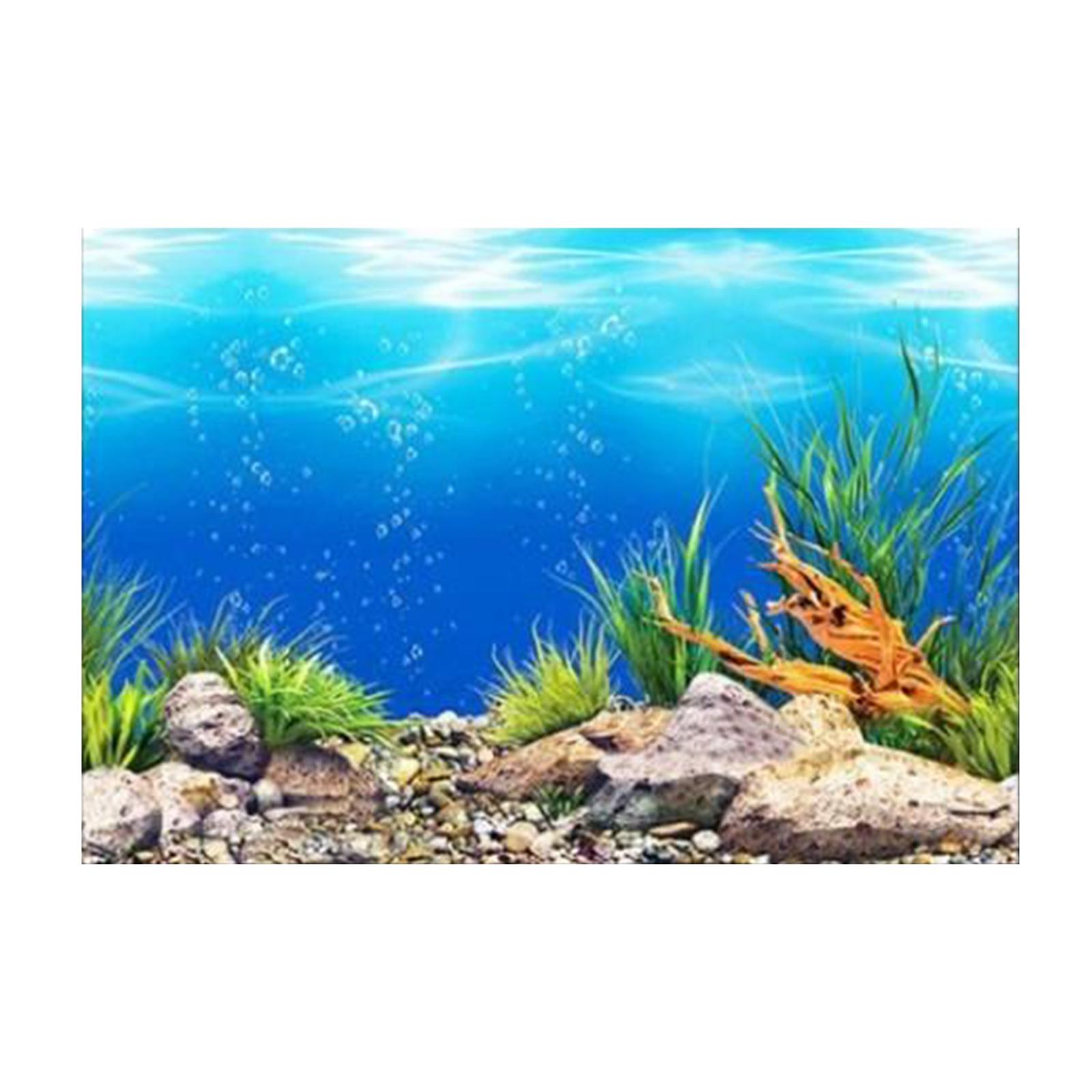 3D Effect Aquarium Background  - Aquarium Fish Tank 评论和价格