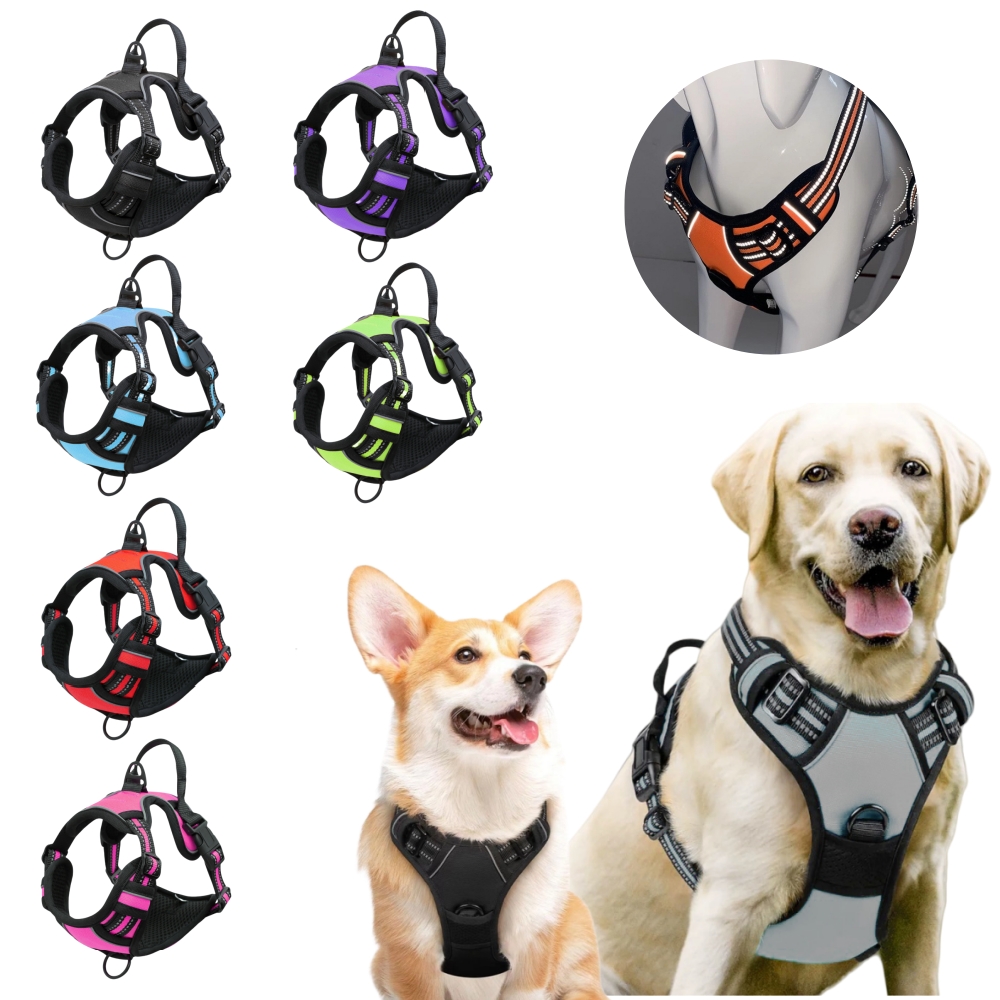 No Pull Dog Harness Large Dog  - No Pull Dog Harness 评论和价格
