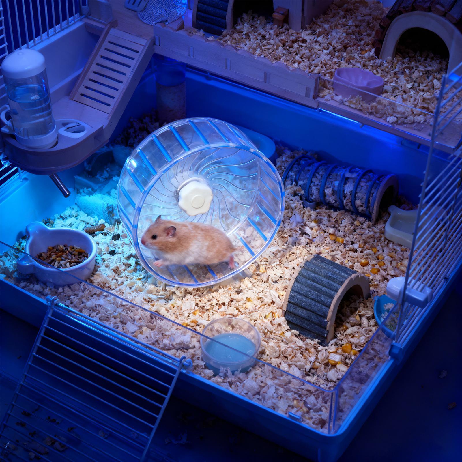 Silent Hamster Wheel Quiet Dou - Hamster Cage Wheel 评论和价格