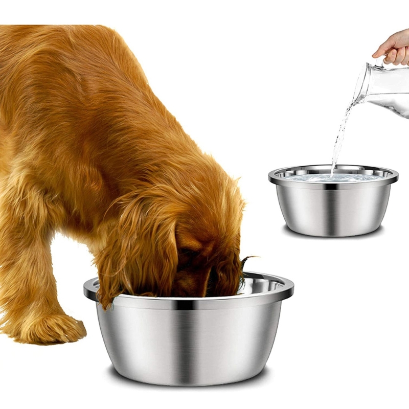 Stainless Steel Dog Feeders 20 - Royal Canin Food Medium 评论和价格