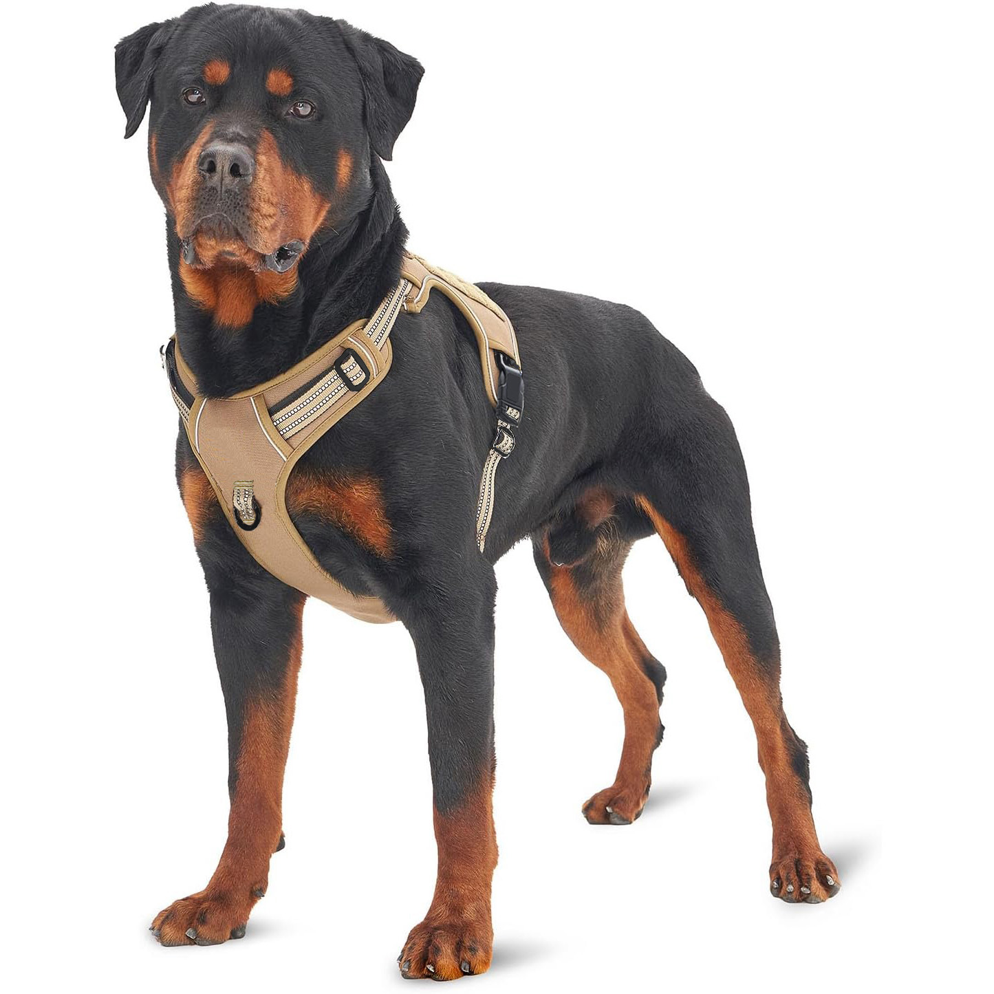 Military Tactical Dog Harness  - No Pull Dog Harness 评论和价格