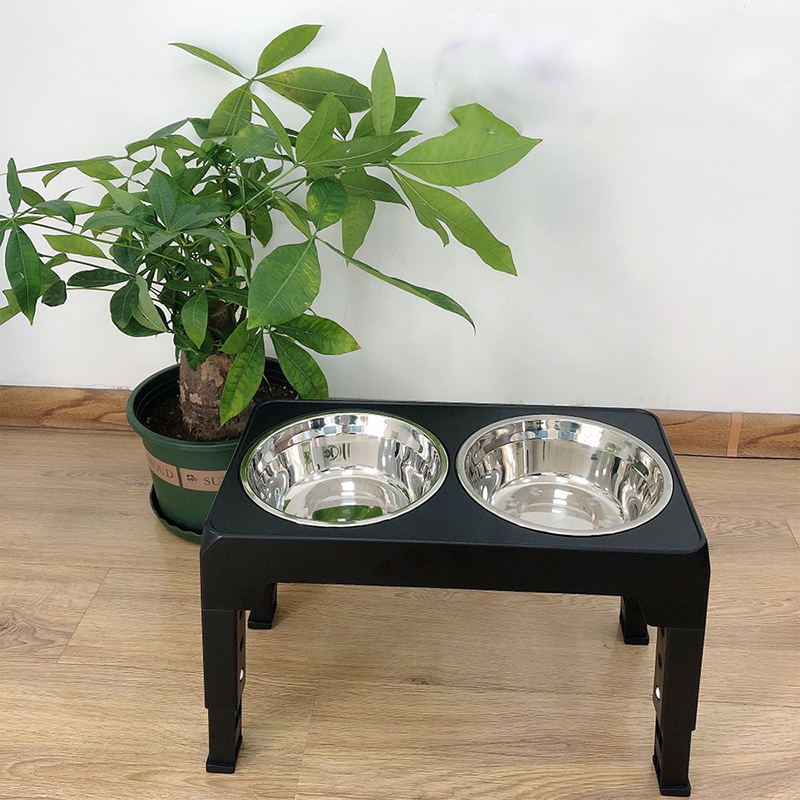 BOOTEELY Elevated Dog Feeder B - Royal Canin Food Medium 评论和价格