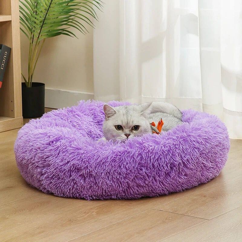 Party Cotton Dog Bed Fluffy Mo - Pet Supplies Australia 评论和价格